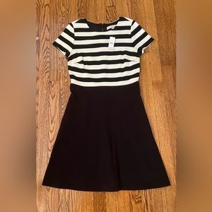 Ann Taylor Loft Dress - NEW with tag